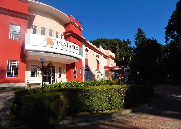 Hotel Platanus